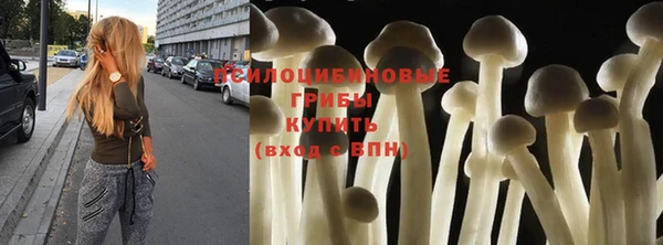 СК Нязепетровск