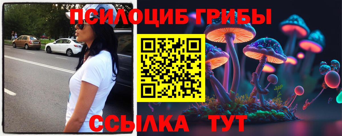 Псилоцибиновые грибы ЛСД Рязань