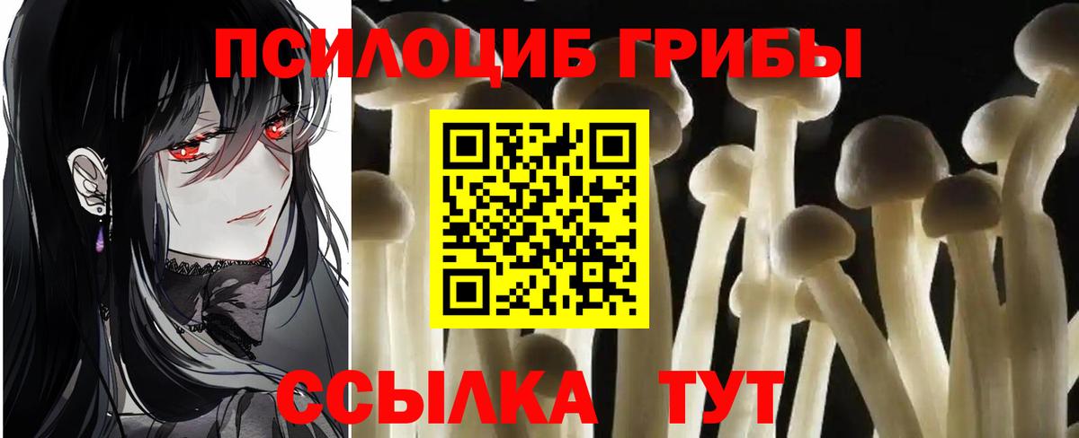 Псилоцибиновые грибы ЛСД  Псилоцибиновые грибы MAGIC MUSHROOMS  Вход с VPN  Рязань 
